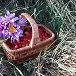 Lodge Zeleny Dom Vysoke Tatry *