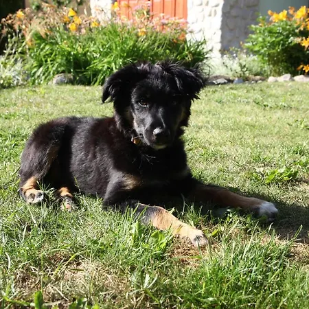 Zeleny Dom Vysoke Tatry Lodge