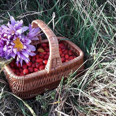 Lodge Zeleny Dom Vysoke Tatry *