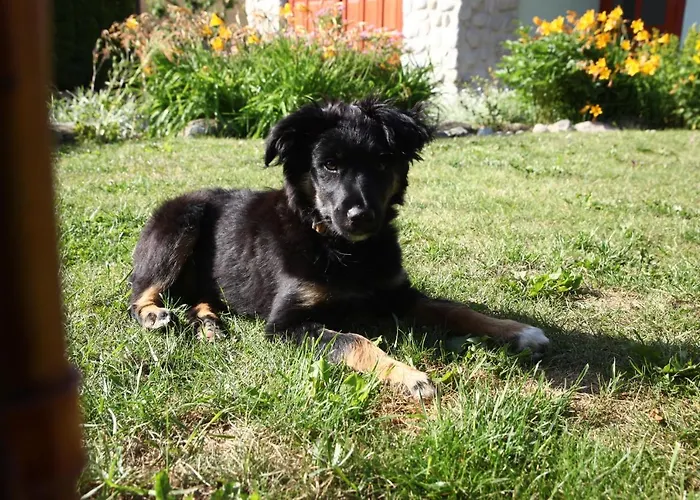 Zeleny Dom Vysoke Tatry Jaktstuga