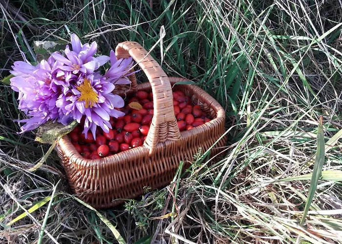 Jaktstuga Zeleny Dom Vysoke Tatry *
