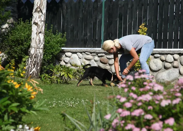 Zeleny Dom Vysoke Tatry Stará Lesná